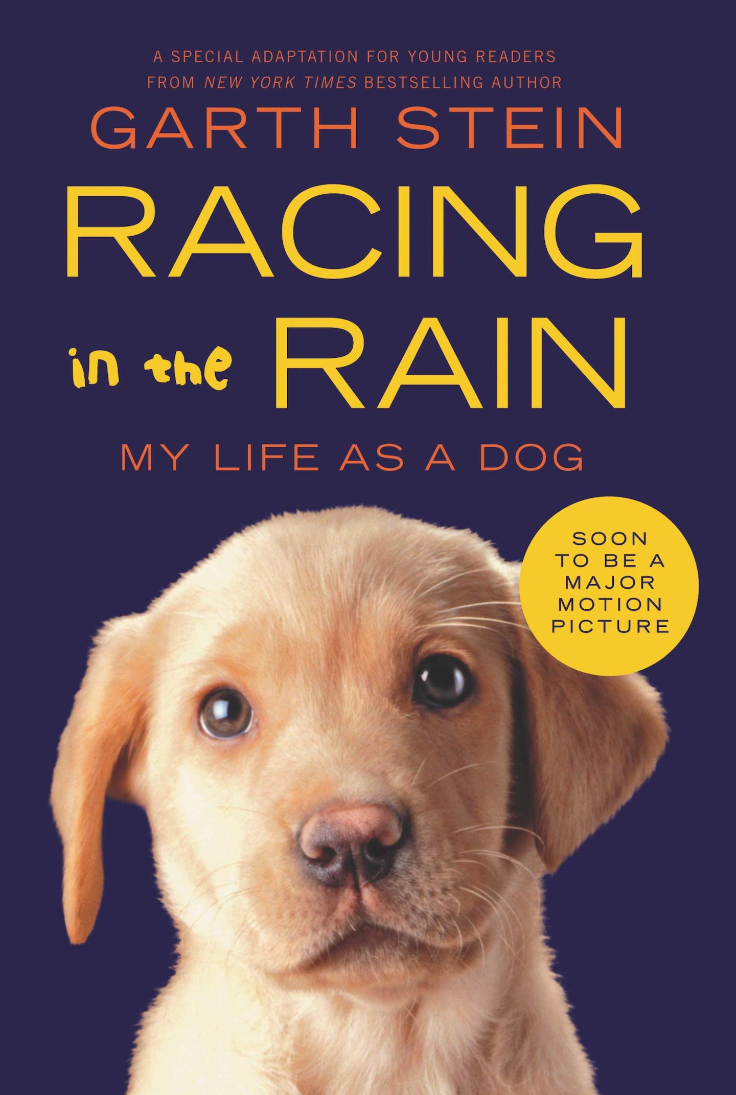 The Art of Racing in the Rain: A Novel By Garth Stein